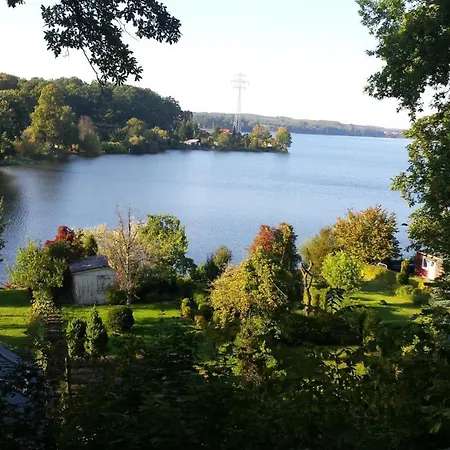 Amilia - 1 فارين